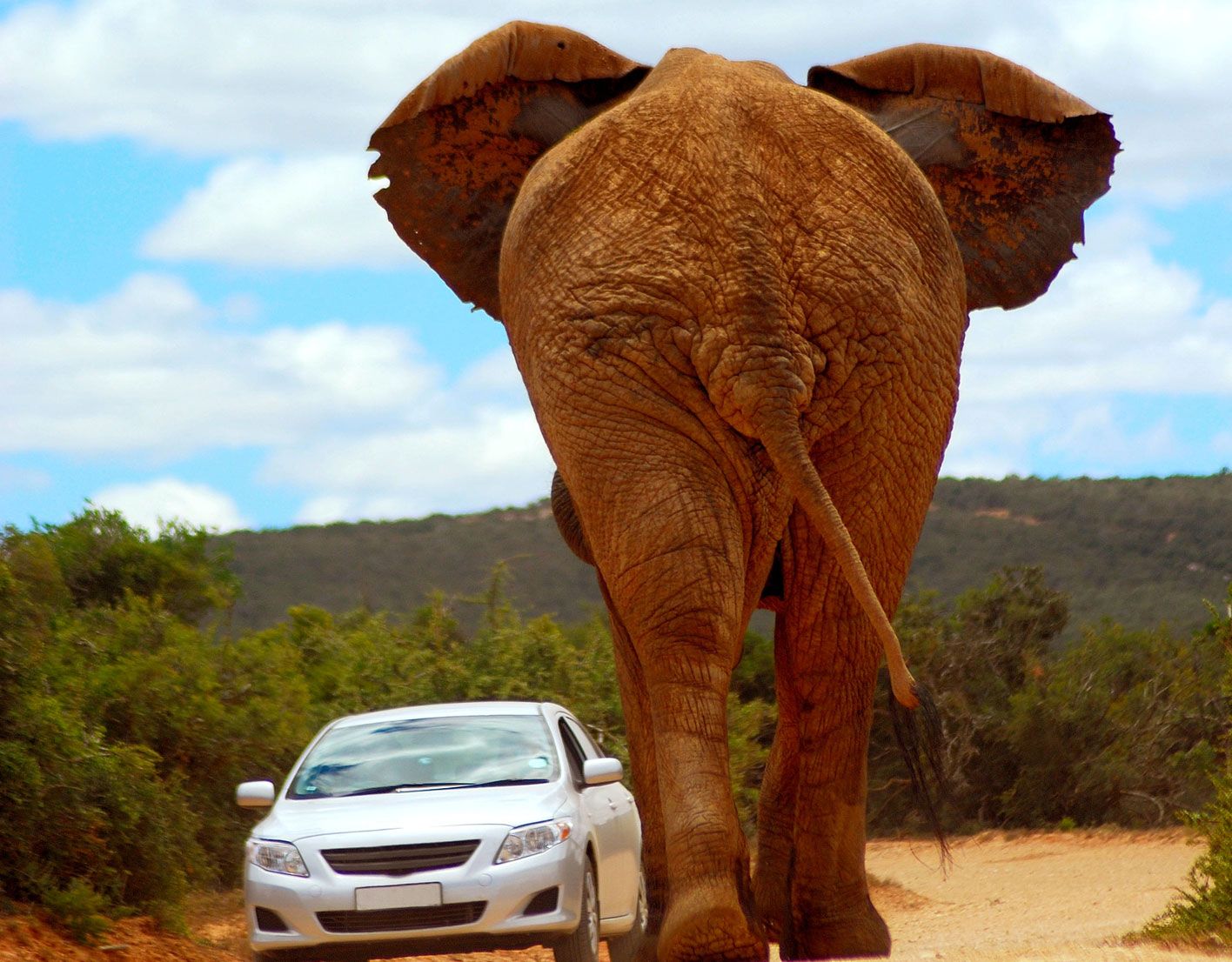 dmc south africa for leisure and incentive travel