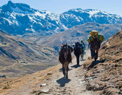 Andean Trekking Expedition in Peru