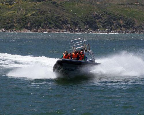 event idea south africa speed boat adventure