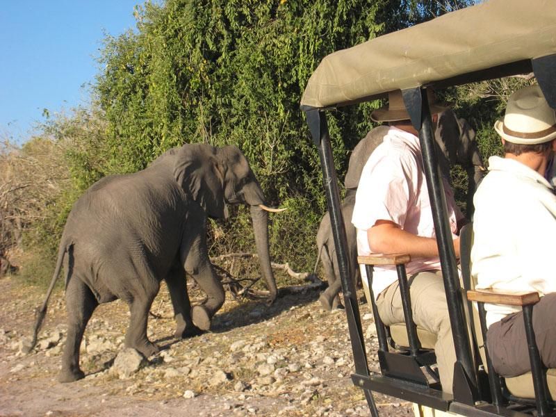 game drive south africa