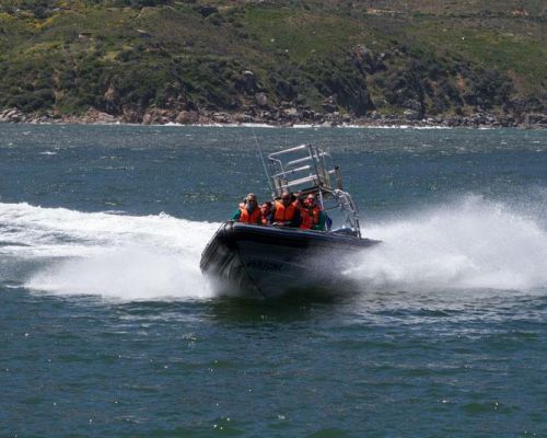 event idea south africa speed boat adventure